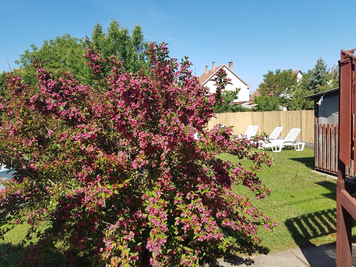 Apartmán Kovacs Vendeghaz Mátraderecske Exteriér fotografie